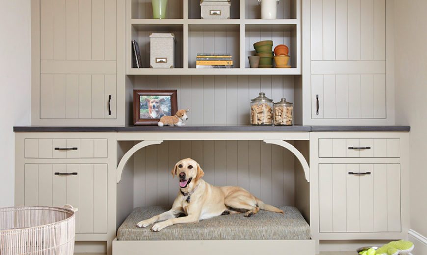 DIY Pet Bed Ideas to Pamper Your Furry Friends