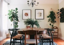 Finding-space-for-greenery-in-the-modern-dining-room-65934-217x155